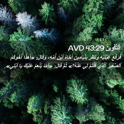 Picture 02 - اَلتَّكْوِينُ 43:29 AVD - فَرَفَعَ عَيْنَيْهِ - Bible Verse Picture