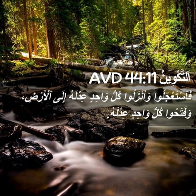 Picture 02 - اَلتَّكْوِينُ 44:11 AVD - فَٱسْتَعْجَلُوا - Bible Verse Picture