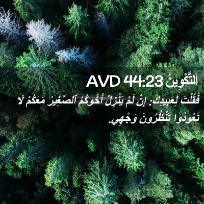 Picture 02 - اَلتَّكْوِينُ 44:23 AVD - فَقُلْتَ لِعَبِيدِكَ: إِنْ - Bible Verse Picture