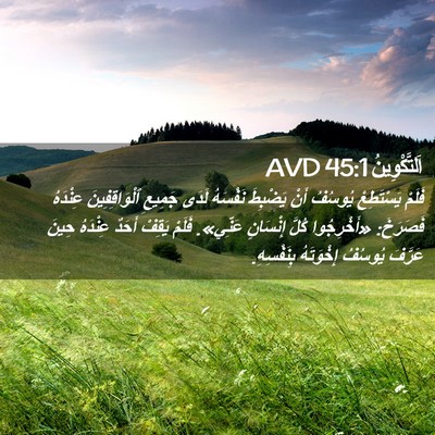 Picture 02 - اَلتَّكْوِينُ 45:1 AVD - فَلَمْ يَسْتَطِعْ يُوسُفُ - Bible Verse Picture