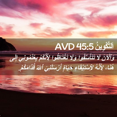 Picture 02 - اَلتَّكْوِينُ 45:5 AVD - وَٱلْآنَ لَا - Bible Verse Picture