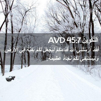 Picture 02 - اَلتَّكْوِينُ 45:7 AVD - فَقَدْ أَرْسَلَنِي ٱللهُ - Bible Verse Picture