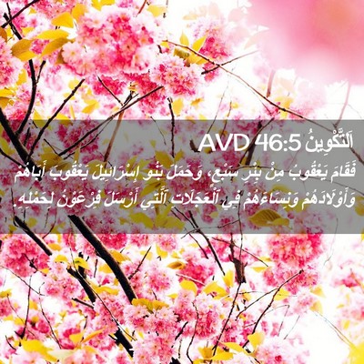 Picture 02 - اَلتَّكْوِينُ 46:5 AVD - فَقَامَ يَعْقُوبُ مِنْ - Bible Verse Picture