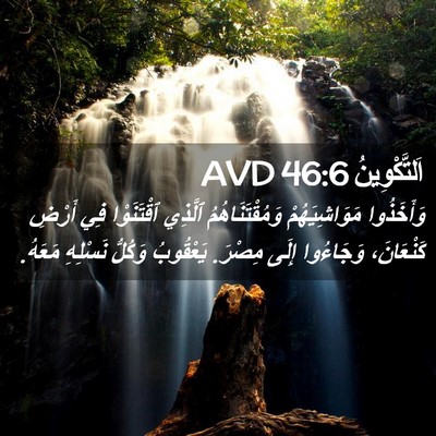 Picture 02 - اَلتَّكْوِينُ 46:6 AVD - وَأَخَذُوا مَوَاشِيَهُمْ - Bible Verse Picture