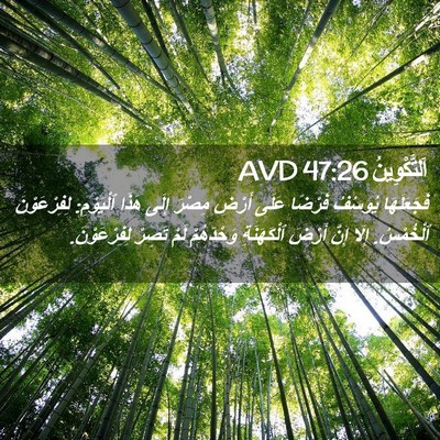 Picture 02 - اَلتَّكْوِينُ 47:26 AVD - فَجَعَلَهَا يُوسُفُ - Bible Verse Picture
