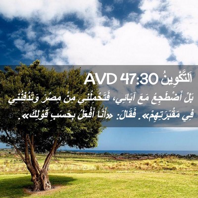Picture 02 - اَلتَّكْوِينُ 47:30 AVD - بَلْ أَضْطَجِعُ مَعَ - Bible Verse Picture
