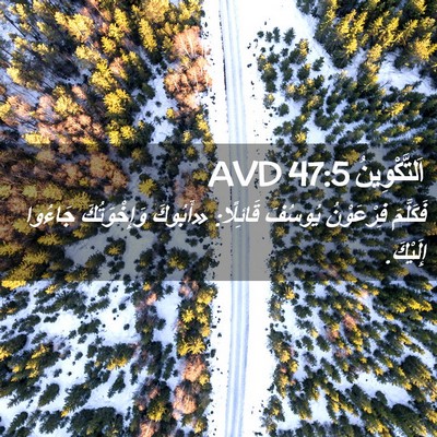 Picture 02 - اَلتَّكْوِينُ 47:5 AVD - فَكَلَّمَ فِرْعَوْنُ - Bible Verse Picture