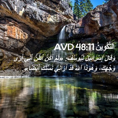 Picture 02 - اَلتَّكْوِينُ 48:11 AVD - وَقَالَ إِسْرَائِيلُ - Bible Verse Picture