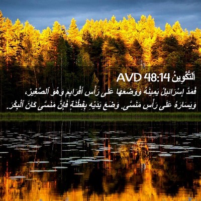 Picture 02 - اَلتَّكْوِينُ 48:14 AVD - فَمَدَّ إِسْرَائِيلُ - Bible Verse Picture