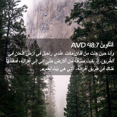 Picture 02 - اَلتَّكْوِينُ 48:7 AVD - وَأَنَا حِينَ جِئْتُ مِنْ - Bible Verse Picture