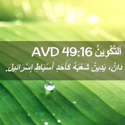 Picture 02 - اَلتَّكْوِينُ 49:16 AVD - دَانُ، يَدِينُ شَعْبَهُ - Bible Verse Picture