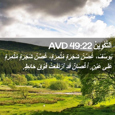 Picture 02 - اَلتَّكْوِينُ 49:22 AVD - يُوسُفُ، غُصْنُ شَجَرَةٍ - Bible Verse Picture