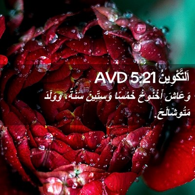 Picture 02 - اَلتَّكْوِينُ 5:21 AVD - وَعَاشَ أَخْنُوخُ خَمْسًا - Bible Verse Picture