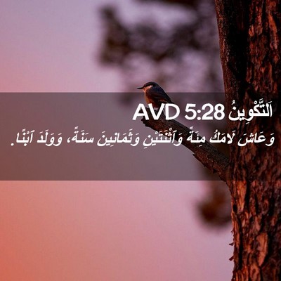 Picture 02 - اَلتَّكْوِينُ 5:28 AVD - وَعَاشَ لَامَكُ مِئَةً - Bible Verse Picture