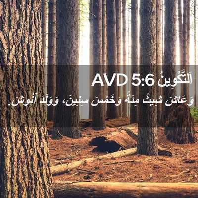 Picture 02 - اَلتَّكْوِينُ 5:6 AVD - وَعَاشَ شِيثُ مِئَةً - Bible Verse Picture
