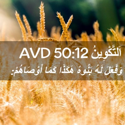 Picture 02 - اَلتَّكْوِينُ 50:12 AVD - وَفَعَلَ لَهُ بَنُوهُ - Bible Verse Picture