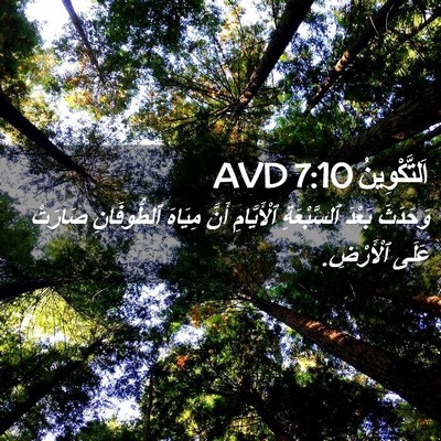 Picture 02 - اَلتَّكْوِينُ 7:10 AVD - وَحَدَثَ بَعْدَ - Bible Verse Picture