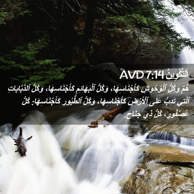 Picture 02 - اَلتَّكْوِينُ 7:14 AVD - هُمْ وَكُلُّ ٱلْوُحُوشِ - Bible Verse Picture