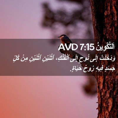 Picture 02 - اَلتَّكْوِينُ 7:15 AVD - وَدَخَلَتْ إِلَى نُوحٍ - Bible Verse Picture