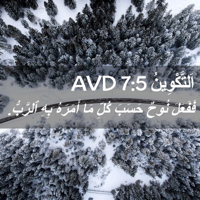 Picture 02 - اَلتَّكْوِينُ 7:5 AVD - فَفَعَلَ نُوحٌ حَسَبَ - Bible Verse Picture