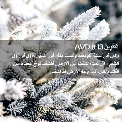 Picture 02 - اَلتَّكْوِينُ 8:13 AVD - وَكَانَ فِي ٱلسَّنَةِ - Bible Verse Picture