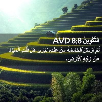 Picture 02 - اَلتَّكْوِينُ 8:8 AVD - ثُمَّ أَرْسَلَ - Bible Verse Picture