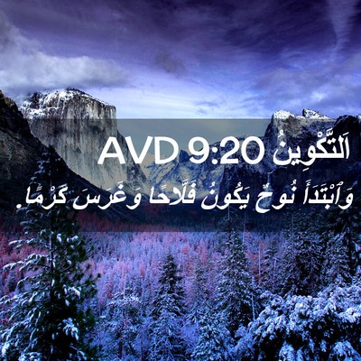 Picture 02 - اَلتَّكْوِينُ 9:20 AVD - وَٱبْتَدَأَ نُوحٌ يَكُونُ - Bible Verse Picture