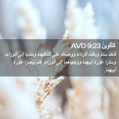 Picture 02 - اَلتَّكْوِينُ 9:23 AVD - فَأَخَذَ سَامٌ وَيَافَثُ - Bible Verse Picture