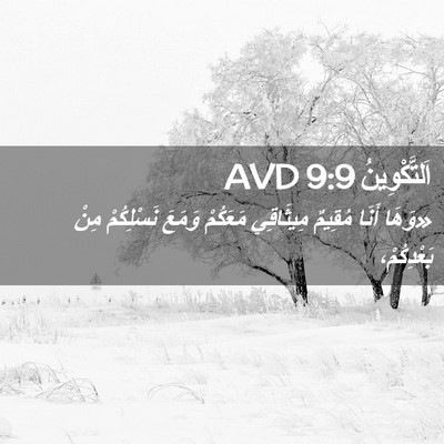 Picture 02 - اَلتَّكْوِينُ 9:9 AVD - «وَهَا أَنَا مُقِيمٌ - Bible Verse Picture