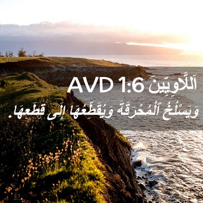 Picture 02 - اَللَّاوِيِّينَ 1:6 AVD - وَيَسْلُخُ ٱلْمُحْرَقَةَ - Bible Verse Picture