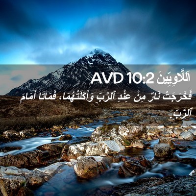 Picture 02 - اَللَّاوِيِّينَ 10:2 AVD - فَخَرَجَتْ نَارٌ مِنْ - Bible Verse Picture