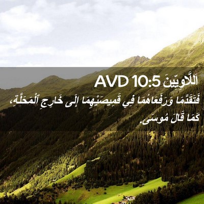 Picture 02 - اَللَّاوِيِّينَ 10:5 AVD - فَتَقَدَّمَا - Bible Verse Picture