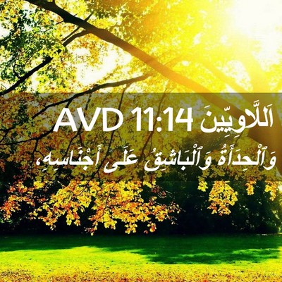 Picture 02 - اَللَّاوِيِّينَ 11:14 AVD - وَٱلْحِدَأَةُ - Bible Verse Picture