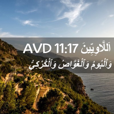 Picture 02 - اَللَّاوِيِّينَ 11:17 AVD - وَٱلْبُومُ وَٱلْغَوَّاصُ - Bible Verse Picture