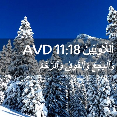 Picture 02 - اَللَّاوِيِّينَ 11:18 AVD - وَٱلْبَجَعُ وَٱلْقُوقُ - Bible Verse Picture