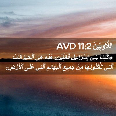Picture 02 - اَللَّاوِيِّينَ 11:2 AVD - «كَلِّمَا بَنِي - Bible Verse Picture