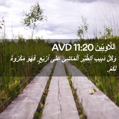 Picture 02 - اَللَّاوِيِّينَ 11:20 AVD - وَكُلُّ دَبِيبِ ٱلطَّيْرِ - Bible Verse Picture