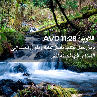 Picture 02 - اَللَّاوِيِّينَ 11:28 AVD - وَمَنْ حَمَلَ جُثَثَهَا - Bible Verse Picture