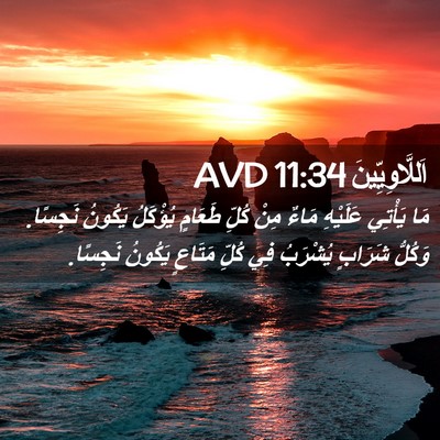 Picture 02 - اَللَّاوِيِّينَ 11:34 AVD - مَا يَأْتِي عَلَيْهِ مَاءٌ - Bible Verse Picture