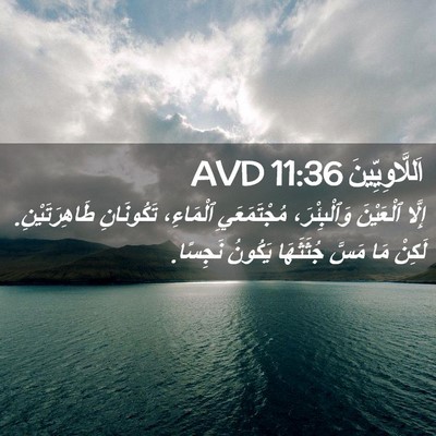 Picture 02 - اَللَّاوِيِّينَ 11:36 AVD - إِلَّا ٱلْعَيْنَ - Bible Verse Picture