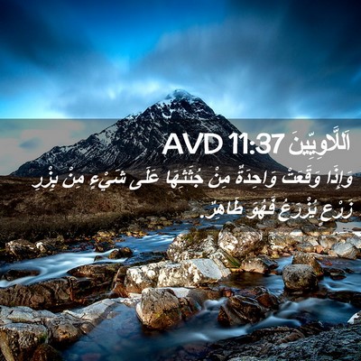 Picture 02 - اَللَّاوِيِّينَ 11:37 AVD - وَإِذَا وَقَعَتْ - Bible Verse Picture