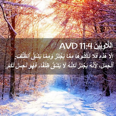 Picture 02 - اَللَّاوِيِّينَ 11:4 AVD - إِلَّا هَذِهِ فَلَا - Bible Verse Picture