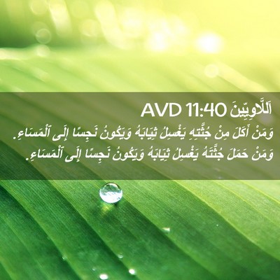 Picture 02 - اَللَّاوِيِّينَ 11:40 AVD - وَمَنْ أَكَلَ مِنْ - Bible Verse Picture