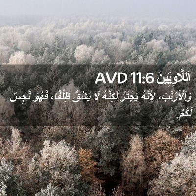 Picture 02 - اَللَّاوِيِّينَ 11:6 AVD - وَٱلْأَرْنَبَ، لِأَنَّهُ - Bible Verse Picture