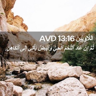 Picture 02 - اَللَّاوِيِّينَ 13:16 AVD - ثُمَّ إِنْ عَادَ ٱللَّحْمُ - Bible Verse Picture