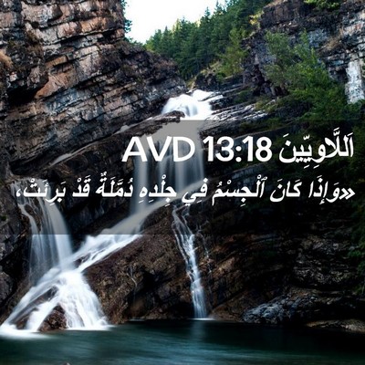 Picture 02 - اَللَّاوِيِّينَ 13:18 AVD - «وَإِذَا كَانَ ٱلْجِسْمُ - Bible Verse Picture
