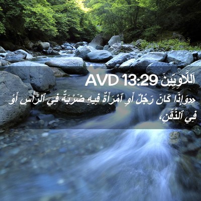Picture 02 - اَللَّاوِيِّينَ 13:29 AVD - «وَإِذَا كَانَ رَجُلٌ أَوِ - Bible Verse Picture