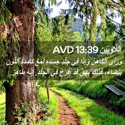 Picture 02 - اَللَّاوِيِّينَ 13:39 AVD - وَرَأَى ٱلْكَاهِنُ - Bible Verse Picture
