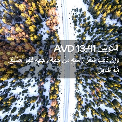Picture 02 - اَللَّاوِيِّينَ 13:41 AVD - وَإِنْ ذَهَبَ شَعْرُ - Bible Verse Picture