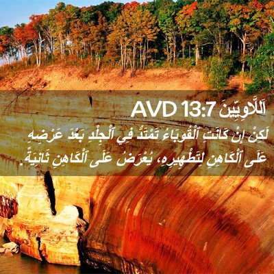Picture 02 - اَللَّاوِيِّينَ 13:7 AVD - لَكِنْ إِنْ كَانَتِ - Bible Verse Picture